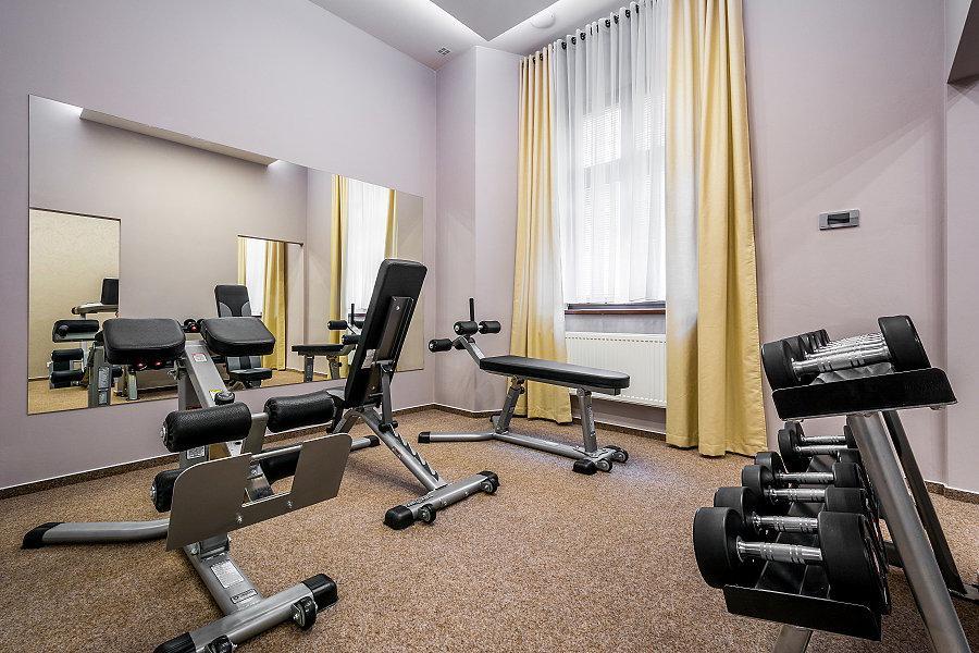 Alexander Hotel Stribro Bagian luar foto